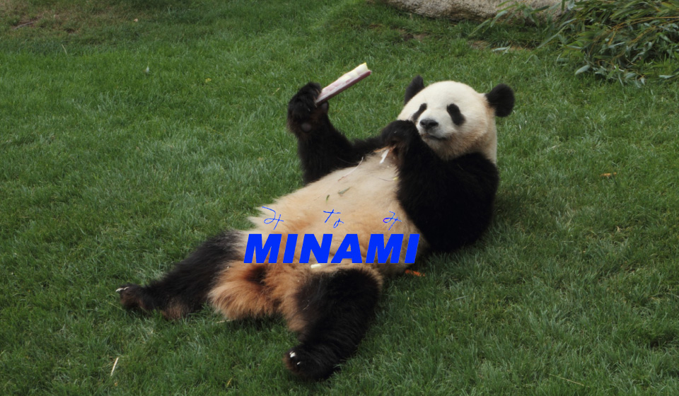 みなみとパンダ
